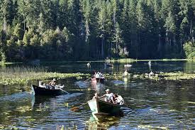 In addition to being adjoining forests, the two forests also jointly manage the ukonom. Weather U S Forest Service Six Rivers National Forest Facebook