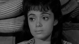 Watch Wagon Train The David Garner Story S6 E33