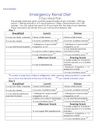 Renal Diet Chart 2 Free Templates In Pdf Word Excel Download