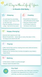 5 Month Old Baby Development Milestones More Pampers