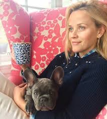 See more ideas about bulldog, french bulldog, brindle french bulldog. Famous Frenchies Celebs Who Love French Bulldogs Etcanada Com