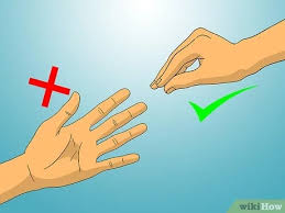 Semplice, in una puntata della seconda stagione, uno dei eccoti accontentato: Come Giocare A Sasso Carta Forbice Lucertola Spock