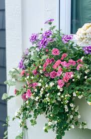 Select from premium window flower box of the highest quality. White Pink And Purple Flower Boxes Window Box Flowers Container Flowers Flower Boxes