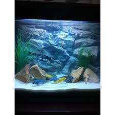 Other plastics can leach into the water over time. Diy Tank Decorations Chicago Home Decor