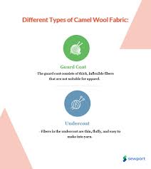 What are you doing at the. What Is Camel Wool Fabric Properties How Its Made And Where Sewport