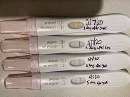 Frer Results After 1500iui Pregnyl Booster Assisted Conception Babycenter Australia