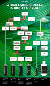 Biocell The Og Of The Collagen Craze In 2021 Collagen How To Increase Energy Collagen Benefits