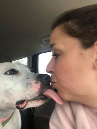 Update, Happy Wednesday!! Wow!! The rain!! We made it to the Lewis County  Animal Shelter just before closing time!! Saw all the cats. So many  adorable ones! Heck! They were ALL ADORABLE!!