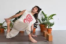 Extended Practice: Yin + Reiki for the Summer Solstice
