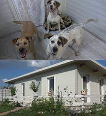 Animal planet unites the human and animal world, providing quality programs to all lovers of nature. About Us Howl Of A Dog Animal Rescue Organization