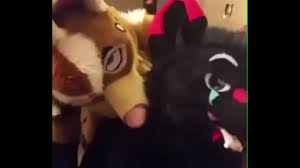 Gay Murrsuit dogs fuck in bathroom - XNXX.COM