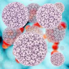What is hpv (human papillomavirus)? Was Ist Hpv Und Wie Wird Es Behandelt