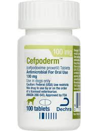 This oral antibiotic, which is sold under the brand names simplicef and vantin, is safe for your dog, although there are some rare side effects to watch out for. Cefpodoxime Proxetil For Dogs Putney Safe Pharmacy Antibiotics Dog Rx Pet