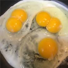 Do they indicate a special kind of hen? Yolk Wikipedia