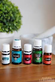 Mix them into a paste. Diy Soothing Shower Steamers Natural Winter Wellness Making Lemonade