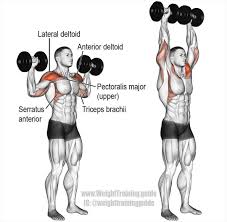 Pin On Exercices De Musculation