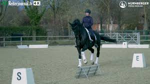 May 30, 2021 · bei drei parallel und weitgehend digital laufenden parteitagen haben die hamburger landesverbände von spd, grünen und cdu am samstag ihre kandidatenlisten für die bundestagswahl bestimmt. Richtig Reiten Mit Dorothee Schneider Teil 1 Prasentiert Von Der Nurnberger Versicherung Youtube