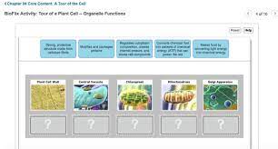 We did not find results for: Chapter 04 Core Content A Tour Of The Cell Bioflix Chegg Com