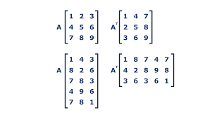 The superscript t means transpose. Transposed Matrix Python Coding Challenges Py Checkio