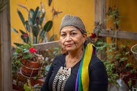 Depuis le 4 juillet 2021, et après avoir été élue membre de l'assemblée constituante par la macrozone 1 (régions de coquimbo, valparaíso, santiago, o'higgins et du. Quien Es Elisa Loncon Antileo Prensa Ciudadana