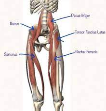 Choose from 500 different sets of flashcards about hip flexors muscles on quizlet. Tight Hip Flexors Think Again Mana Performance Therapy Mana Performance Therapy