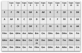 capo chart learn every chord instantly national guitar