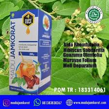 Obat Kolesterol Alami Dari Tumbuhan Dan Cara Membuatnya Obat Kolesterol Alami Obat Kolesterol Alami Yang Paling Ampuh Obat Kolesterol Madu Asam Urat Herbal