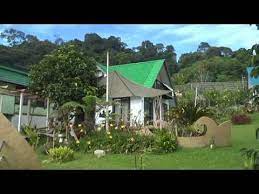 See more of kampung taman sedia cameron highlands, kampung warisan tanah tinggi on facebook. No 5 Taman Sedia In Five Minutes Youtube