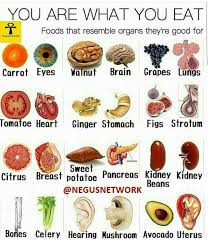 doctrine of signatures health nutrition food food facts