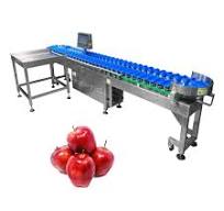 Apple Mango Orange Lemon Cherry Advocado Shrimp Weight Sorting Machine  Grading Machine Weight Classifier Weight Grader Sorter Equipment with  Favourable Price