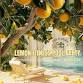 Lemon Fitness Pool Party