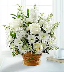 Maybe you would like to learn more about one of these? Sympathy Flowers Legacy Com