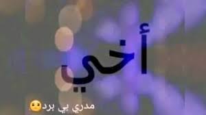 إذا كان الأمر كذلك، فستكون واحدة من أكبر حالات إعادة الدخول غير المنضبط لمركبة فضائية، بينما توجد. ØªØ¬Ø¯ÙŠØ¯ Ù…ØªØ§Ø®Ù… Ø¥Ù‚Ø·Ø§Ø¹ÙŠ ØªØ­Ù…ÙŠÙ„ Ø­Ø§Ù„Ø§Øª ÙˆØ§ØªØ³ Ø§ØºØ§Ù†ÙŠ Ø´Ø¹Ø¨ÙŠ 2019 Allusacars Com