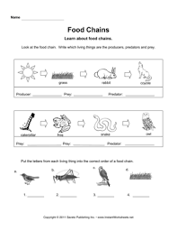 Printable worksheets illustrating food click on the thumbnails to get a larger, printable version. Food Chains