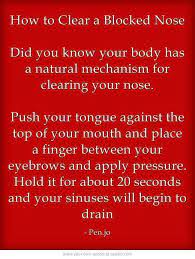It will clear your sinuses right up! How To Clear A Blocked Nose Health And Beauty Tips Health Info Health Tips