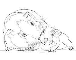 coloriage mere cochon d inde avec petit coloriages a imprimer gratuits de cartable