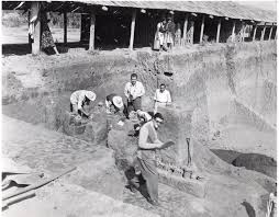 Image result for Blue Inca 2007 147