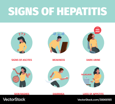 Image result for hepatitis symptoms