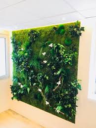Mur En Vegetaux Stabilises Paris Vegetalindoor Vegetal Indoor Deco Mur Vegetal Exterieur Mur Vegetal Interieur Mur Vegetal