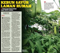 Check spelling or type a new query. Kebun Sayur Laman Rumah Pressreader
