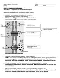 Membranes have dedicated transport proteins with transmembrane domains. Membrane Transport Worksheet Fill Online Printable Fillable Blank Pdffiller
