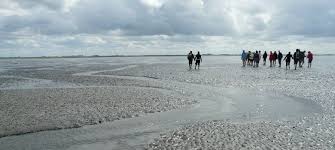 De veerdienst tussen lelystad en de marker wadden vaart onregelmatig. Wandelroute Marker Wadden Lange Route Vrijetijdkrant