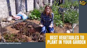 Check spelling or type a new query. Top 20 Garden Vegetables To Grow Kellogg Garden Organics
