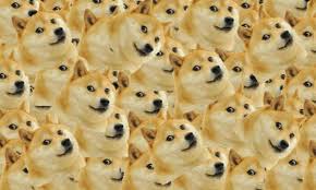 Watch out for people impersonating this page! Dogecoin Price Prediction Doge Aims For 1 After Elon Musk S Newest Endorsment Cryptoticker