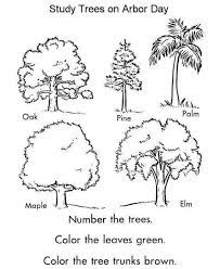 Check our free printable flower coloring pages, plant and tree coloring pages. Arbor Day Coloring Pages Printable Free Coloring Sheets Tree Coloring Page Coloring Pages Tree Identification