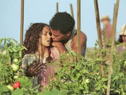 Halle berry as janie crawford. Oprah Winfrey S Their Eyes Were Watching God Receives Mixed Reviews Silver Chips
