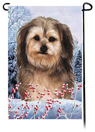 Yorkiepoo Winter Berries Garden Flag