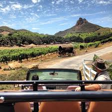 Michelle Tsang and Dennis Gu's Wedding Registry