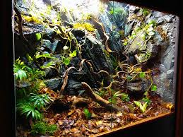 Cave Wall Viv Snake Terrarium Frog Terrarium Reptile Terrarium