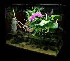 Paludarium By Http Www Aquascape Boutique Fr Aquascape Aquarium Backyard Aquaponics